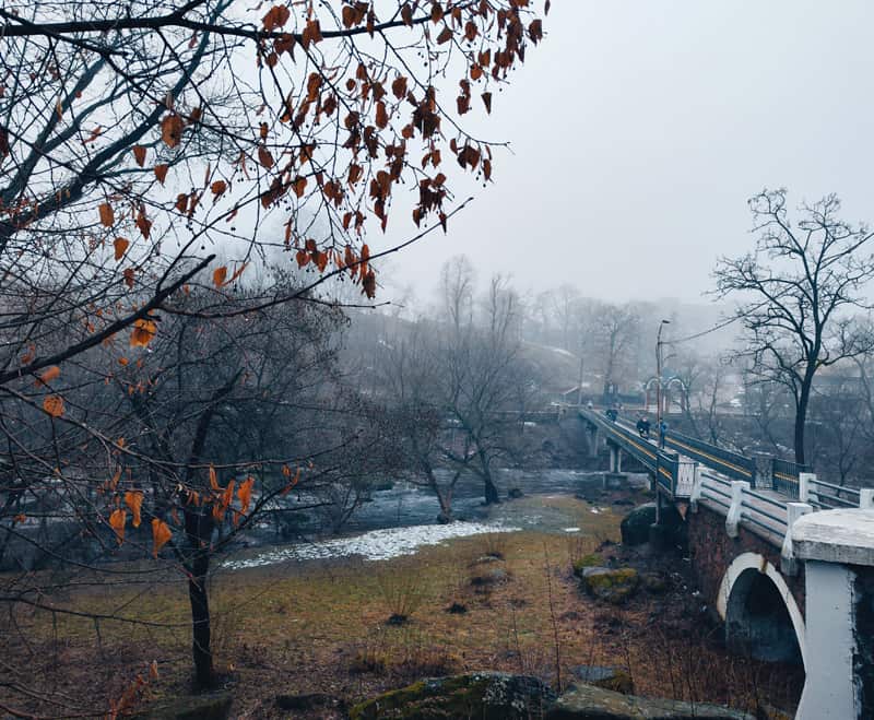 tymankorosten120224 kor 15 min