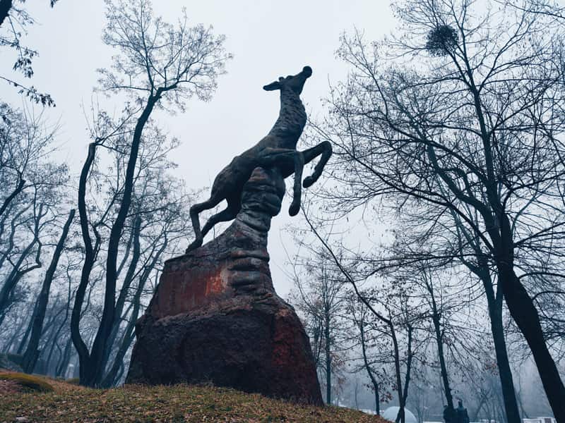 tymankorosten120224 kor 17 min