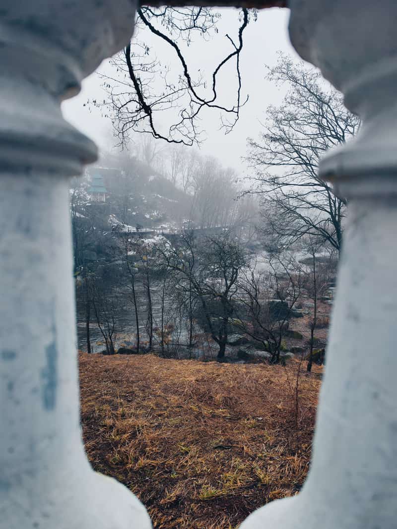 tymankorosten120224 kor 4 min