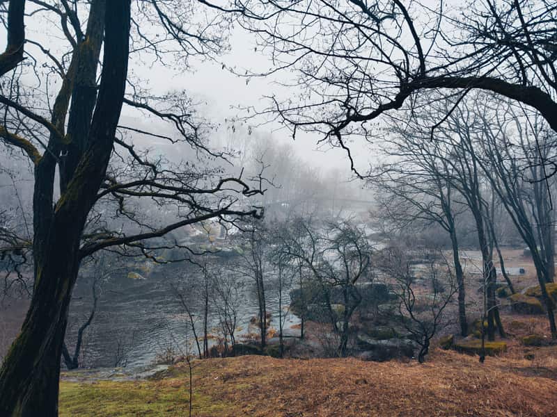 tymankorosten120224 kor 6 min