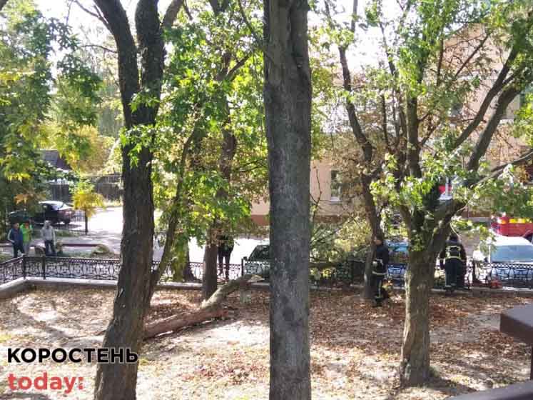 dsns kor 061021 6