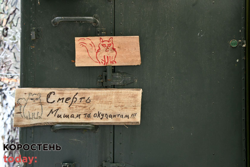 kordonzhi030822 kor 15