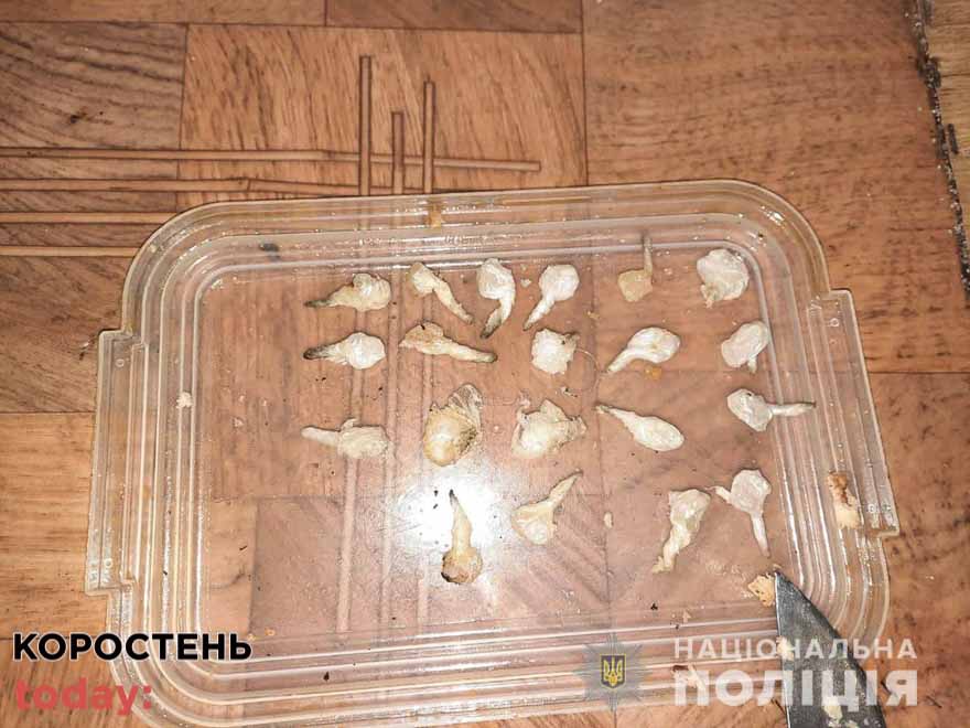 kotleta zona 170222 kor 1