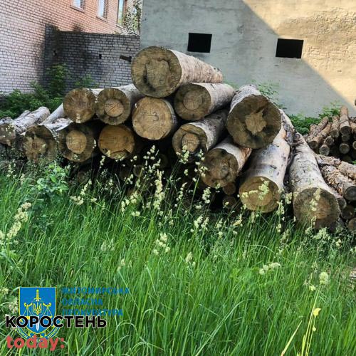 malin dersig070622 1