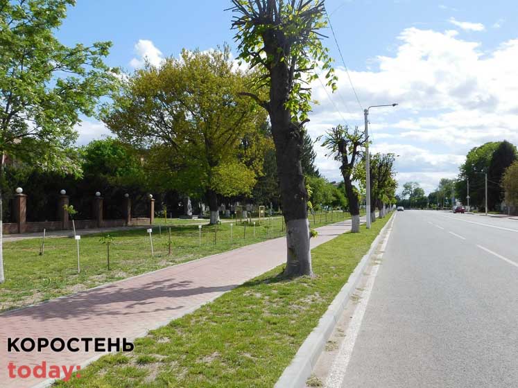 ovtych160522 kor 15