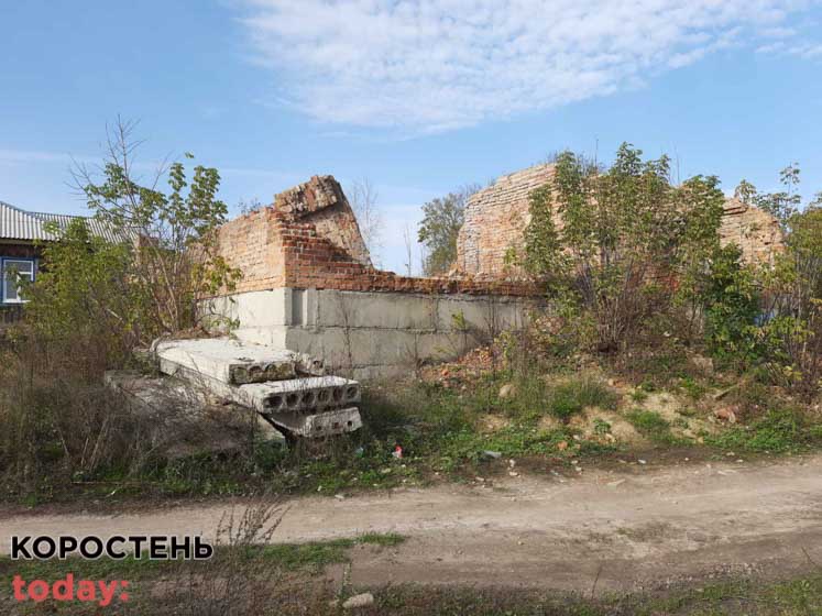 shkolaiambylatoriya 140521 0