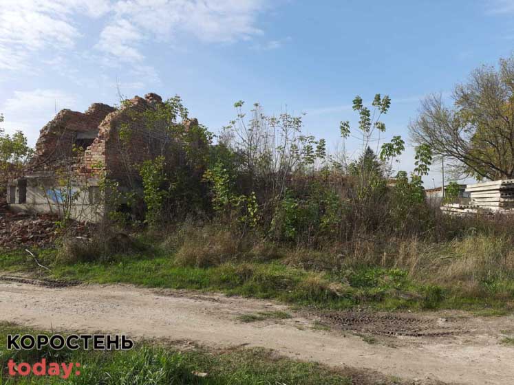 shkolaiambylatoriya 140521 1