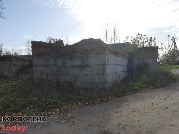 shkolaiambylatoriya 140521 2