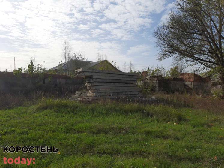 shkolaiambylatoriya 140521 4