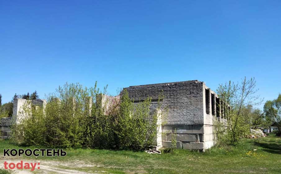 shkolaiambylatoriya 140521 7